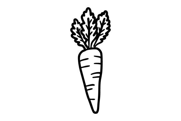 Carrot Line Art: A Fresh Graphics and Illustrations Review